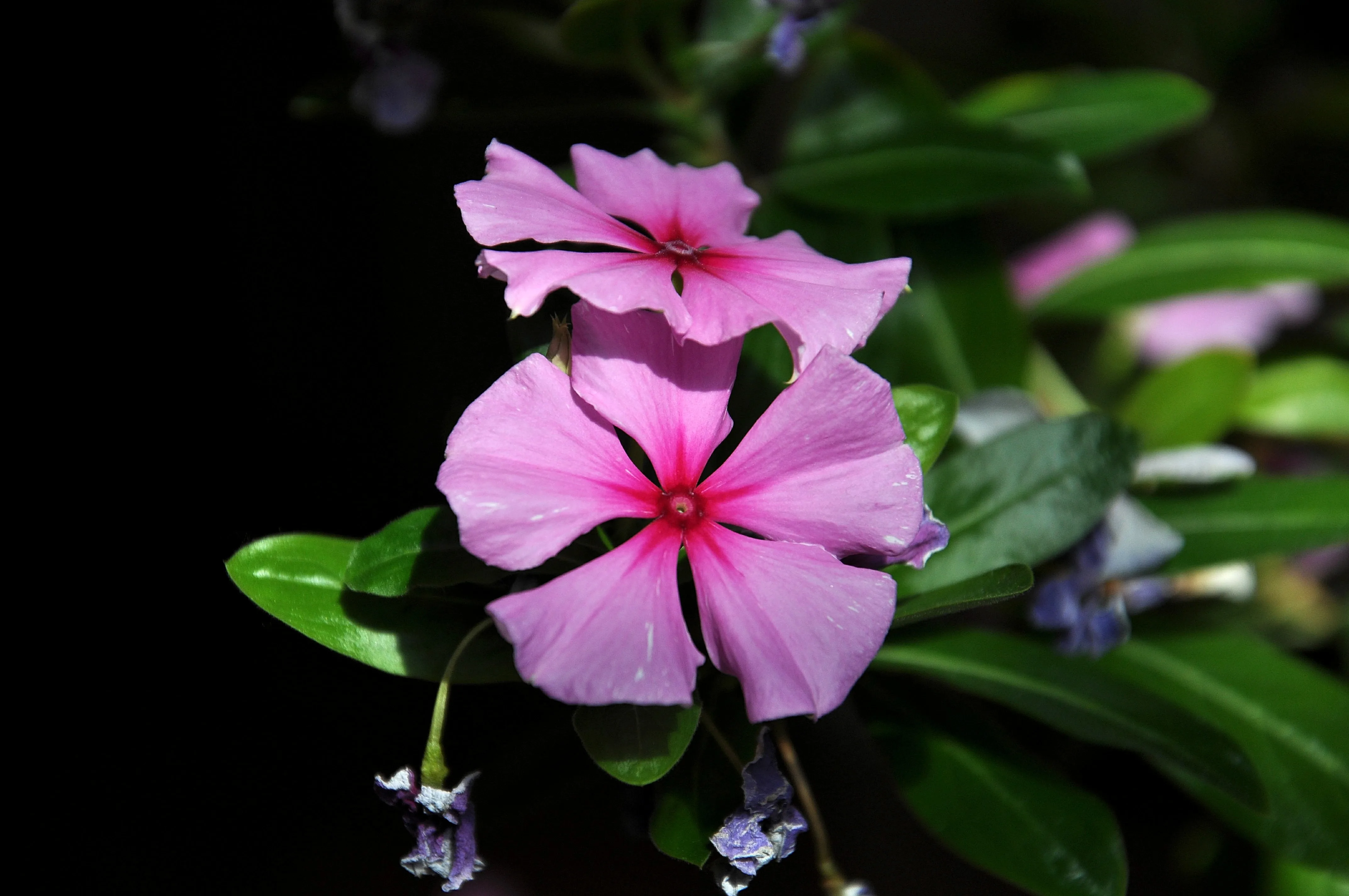 

Для радиоуправляемых машинок MJX 10303 10304 1/10: Универсальные аксессуары, приводной вал CVD (тип "собачья кость") P10414, комплект приводных шин