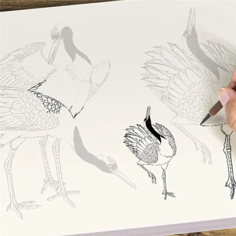 A89X 4 pezzi/set Introduzione alla pittura cinese e libro da disegno bianco per la introduzione di paesaggi animali floreali ai principianti