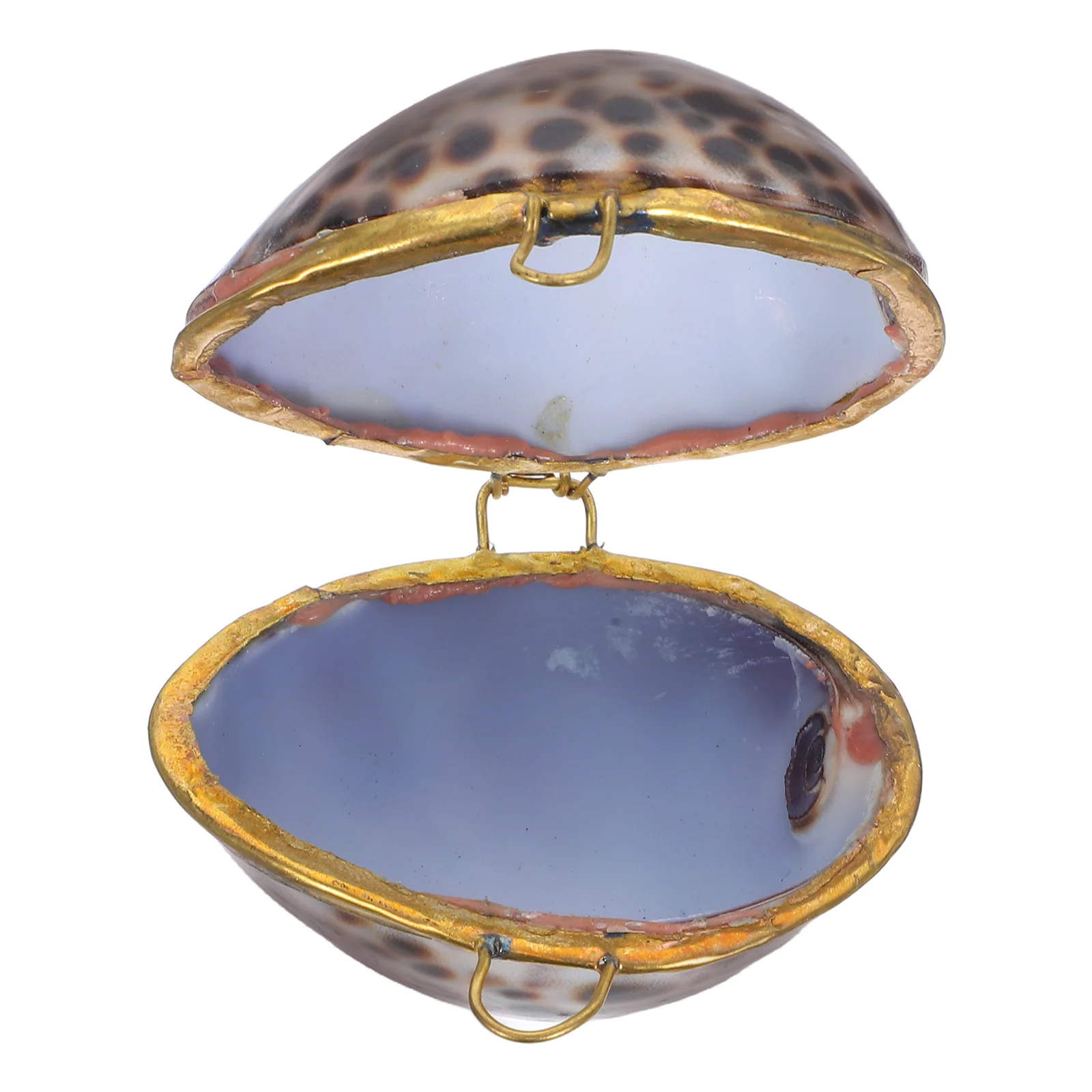 

1pc Shell Jewelry Box Wedding Engagement Ring Case Storage Organizer Gift For Women Girls Sea Style Premium Quality Bedroom