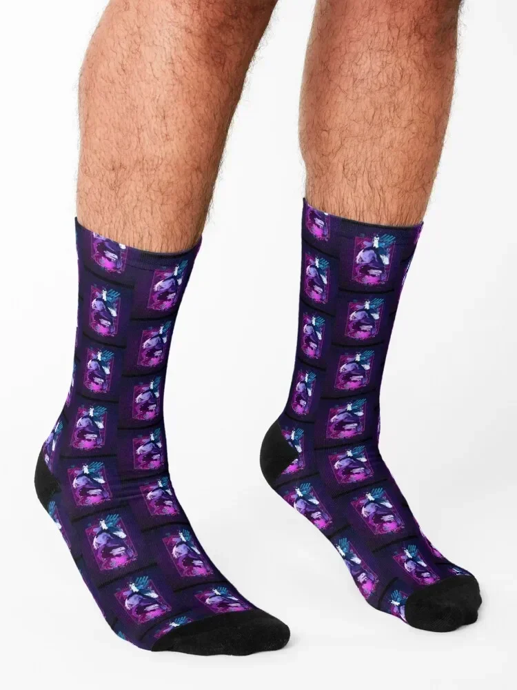 Rain World Modern Graphic Socks funny sock custom sports cool set Socks For Girls Men's