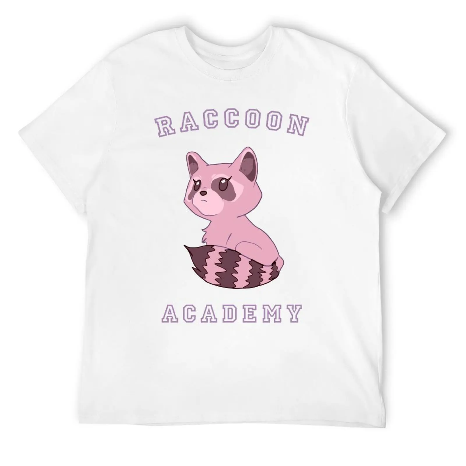 ACADEMIA DE RACCOON-T-shirt estética regular masculina, campanha fresca, T-shirt vintage engraçada, gráfico legal, casa, tamanho Eur