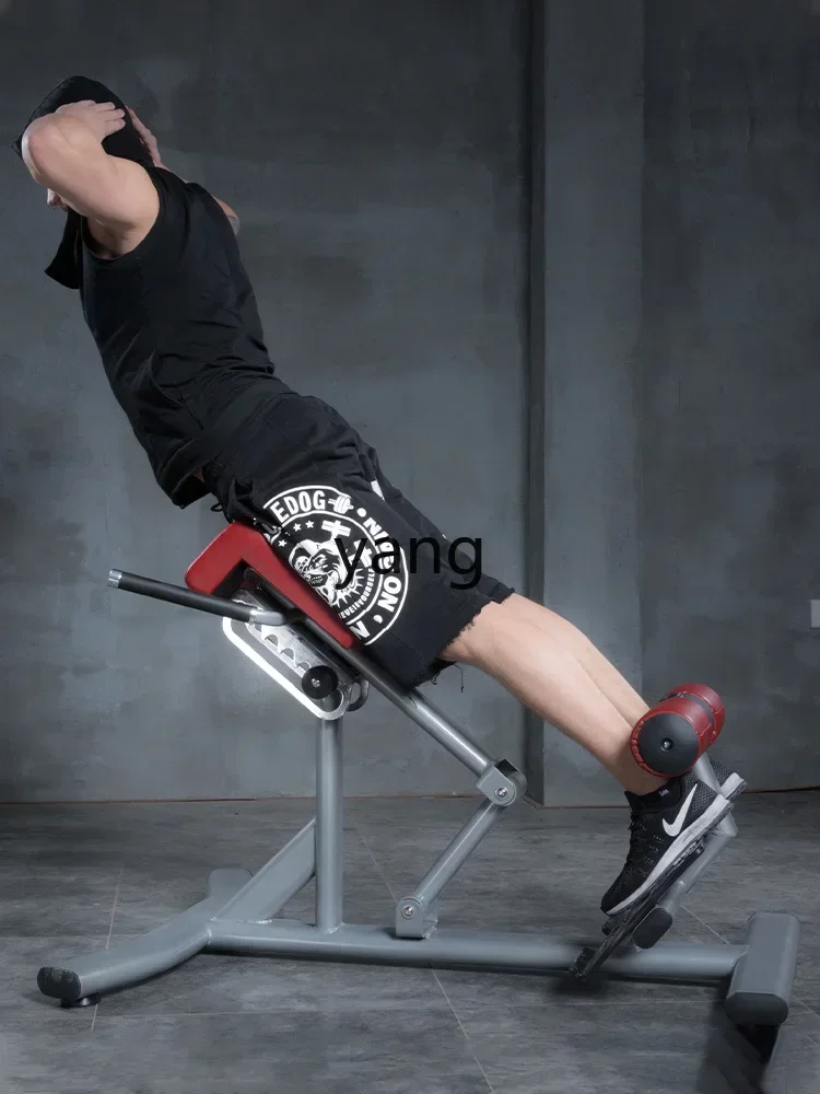 CX Roman Stool Fitness Chair Professional Goat Stand Up Waist Abs Back Trainer
