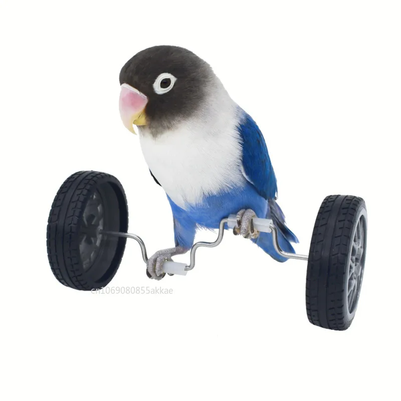 Parrot Balance Car Toys Small and Medium-Sized Bird Supplies Roller Skateboard Skill Training Props Phoenix Bird Toys