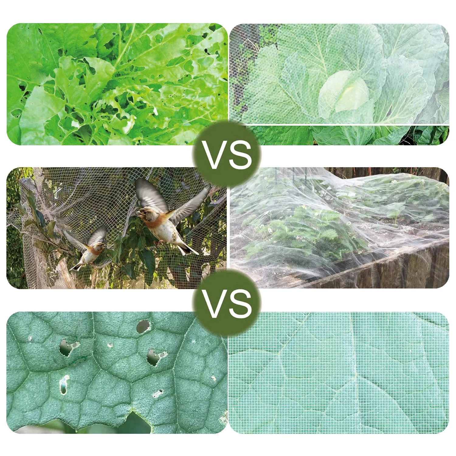 Böcek Koruma Ağı Bahçe Bitkisi - Smart Garden Greenhouse incelemesi ve fiyatı