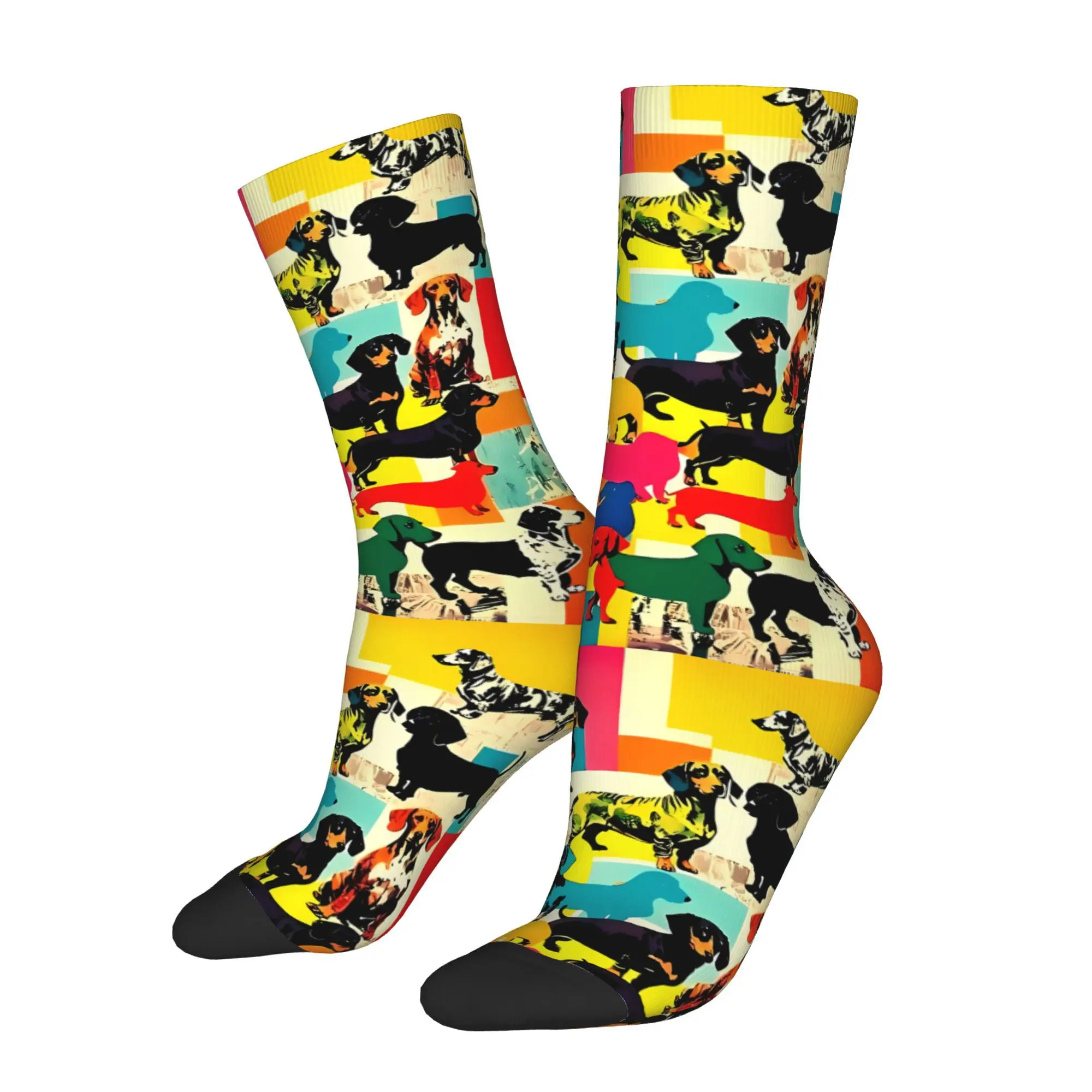 

Funny Crazy Sock for Men Magical Pop Dachshunds Hip Hop Pattern Printed Crew Sock Novelty Gift