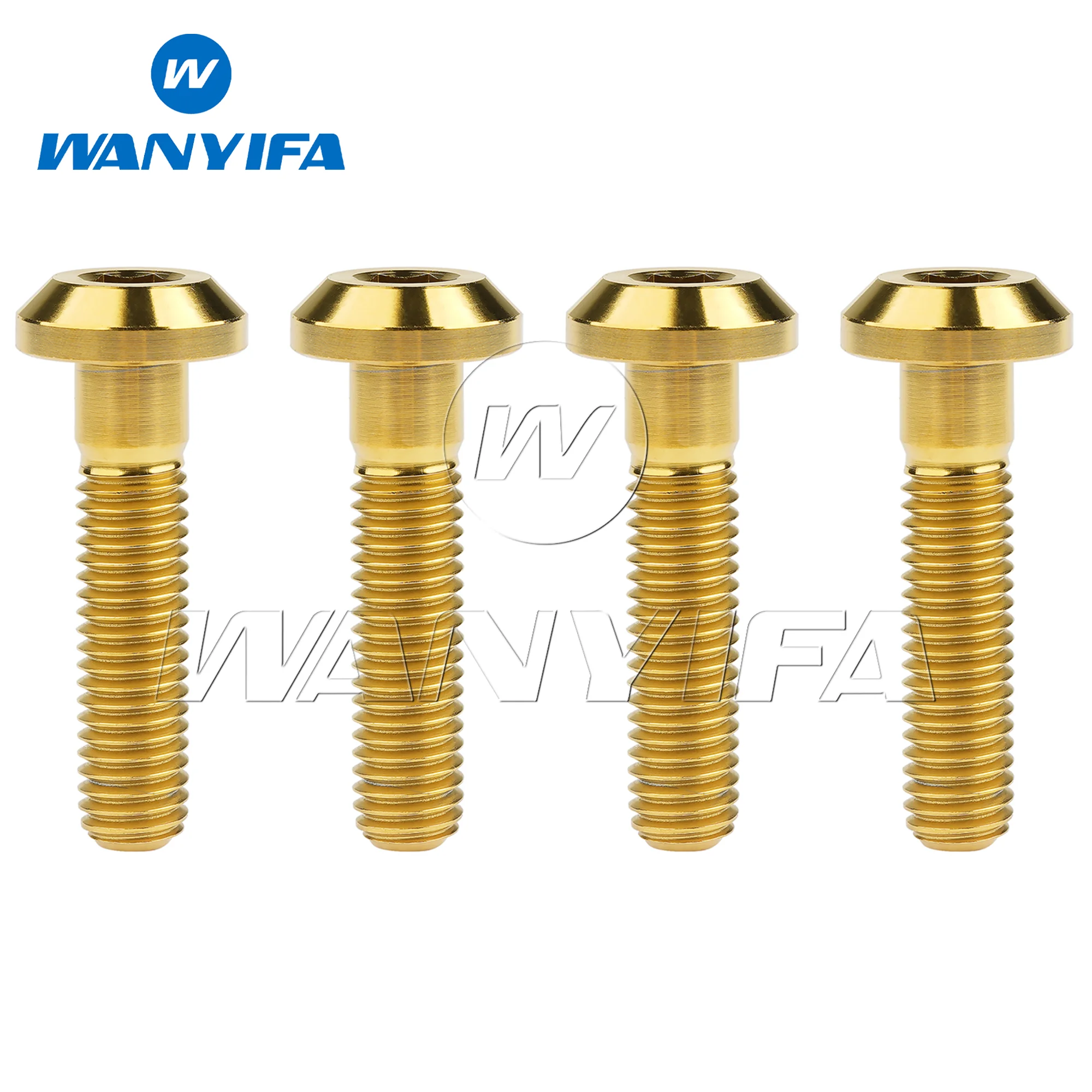 Wanyifa Titanium Bolt M6x12/15/20/25/30/35mm Hex Head Screws for Bicycle Motorcycle Brake Disc 4/10pcs