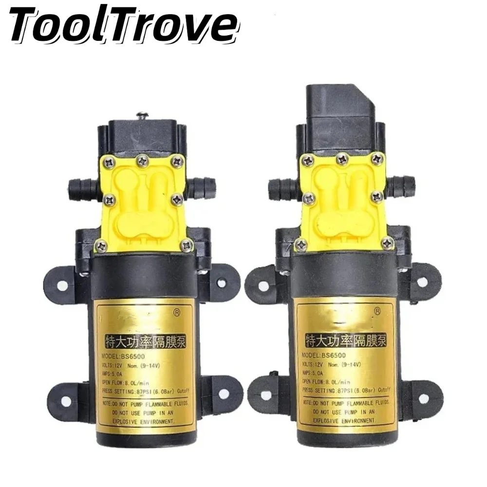 Electric Sprayer Agricultural Water Pump - DC12V Intelligent Self-Priming Diaphragm Pump, High-Power Sprayer Accessory