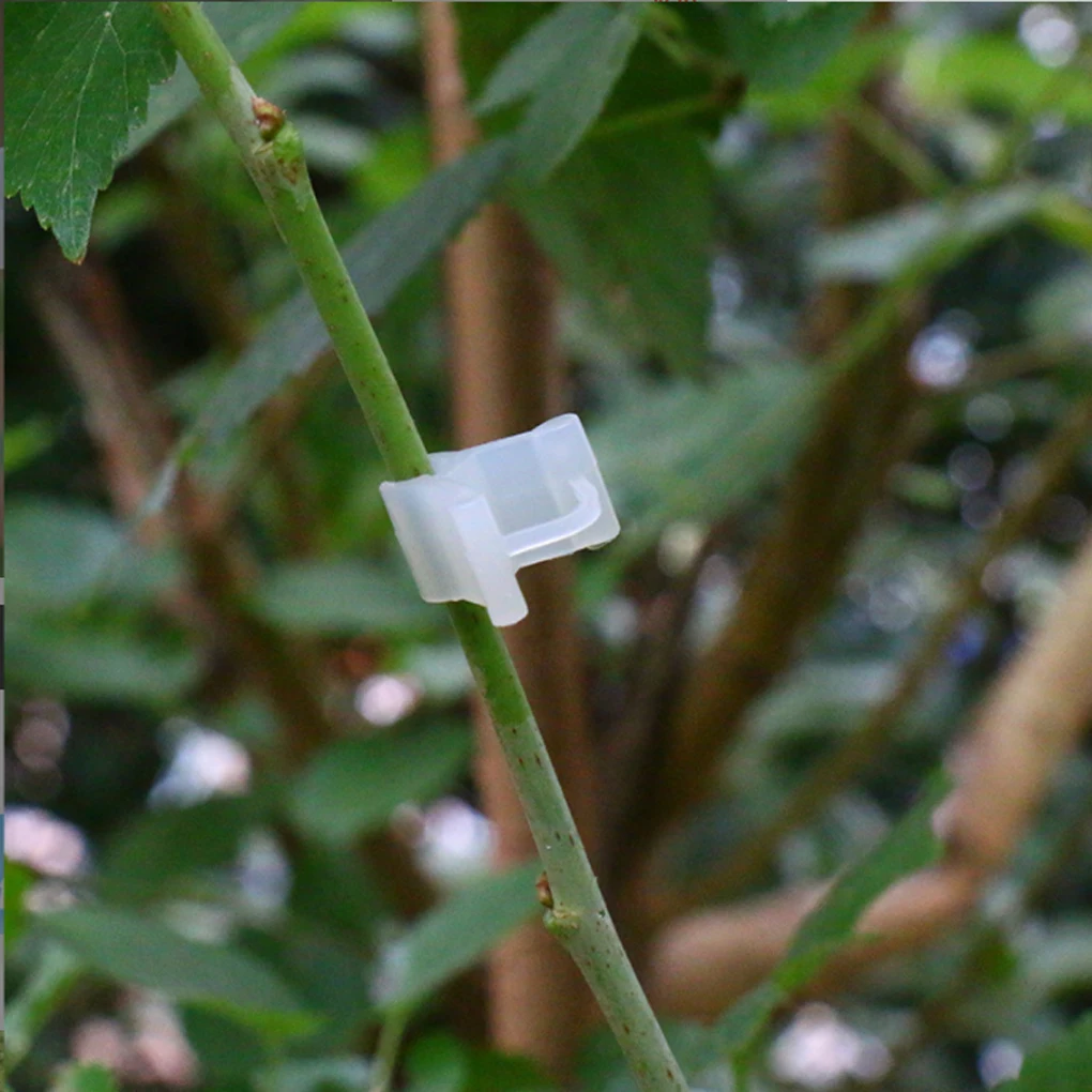 100 szt. Plastikowy klips do zacisku na rośliny łączy zacisk na narzędzia ochrona wielokrotnego użytku winorośl pomidora kwiat truskawki