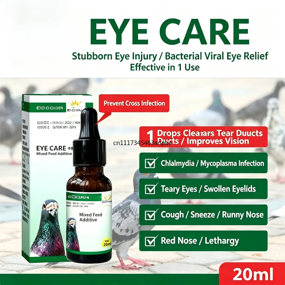 Chlamydia two days kang 100 pieces of pigeon monocular cold tears chlamydia cough asthma runny nose red swollen throat