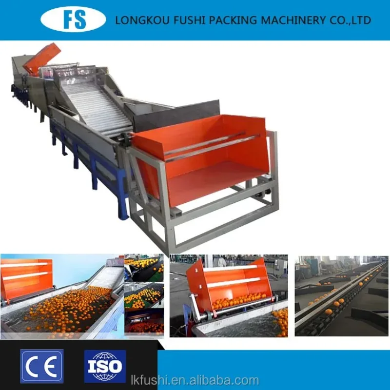 Pear Tomato Lemon Grading Sorting Machine