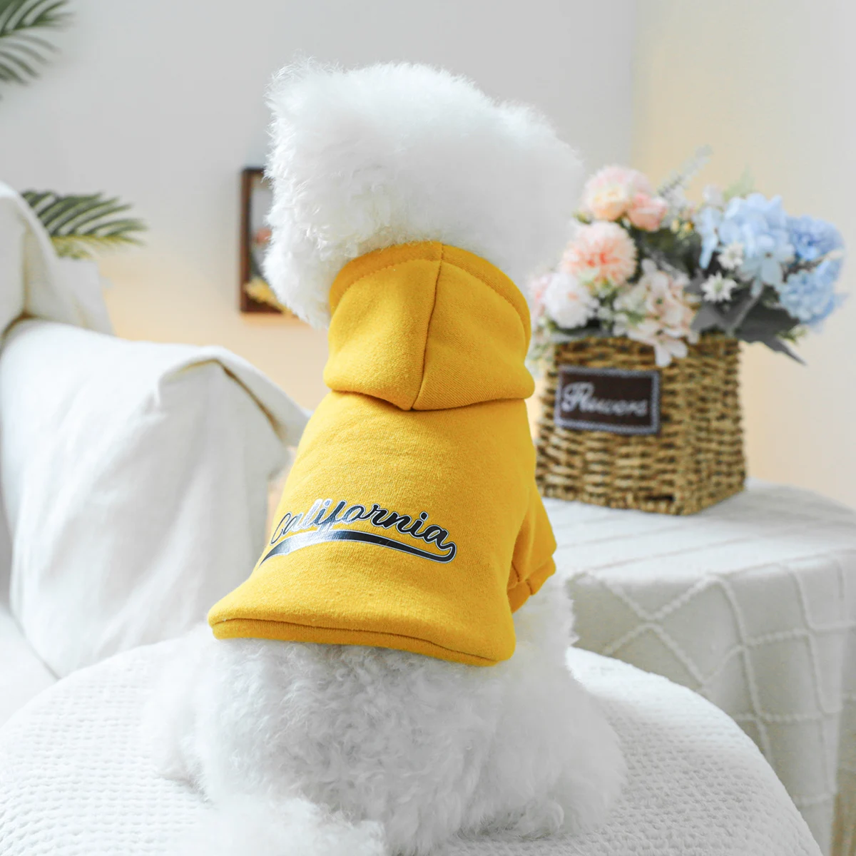 1PC pet clothing cat spring and autumn black flower California yellow hoodie suitable for small and medium-sized dogs