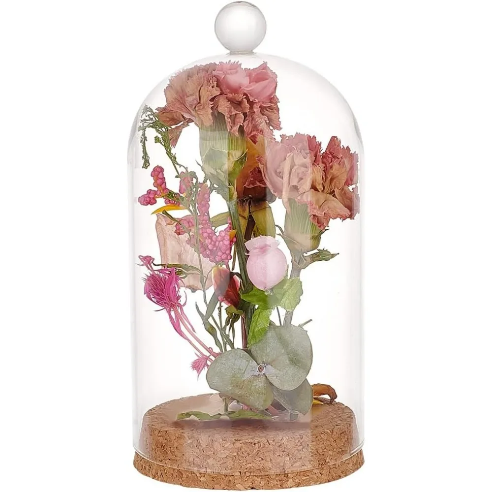 Cloche Glass Dome Cloche Bell Jar Display Dome Case with Wood Base Glass Decoration Bottles for Plants Flower Display Clay