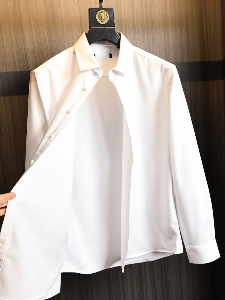 Elegant Standard Fit Long Sleeve Men's Shirt Comfortable Fashionable Pure Color Business Casual Spring Autumn Wear
