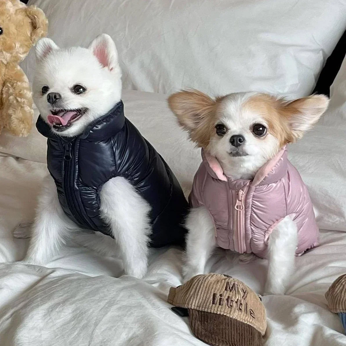 Winter Pet Vest Down for Small Dog Fashion Solid Color Warm Dog Down Coat Korea Cat Dog Clothes Outfits French Bulldog Clothes