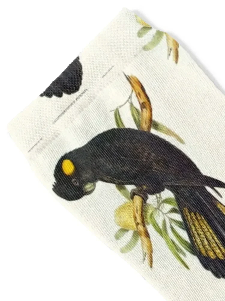 جوارب كوكاتو سوداء للكاحل للهالوين للأطفال جوارب كروسفيت للنساء والرجال #2