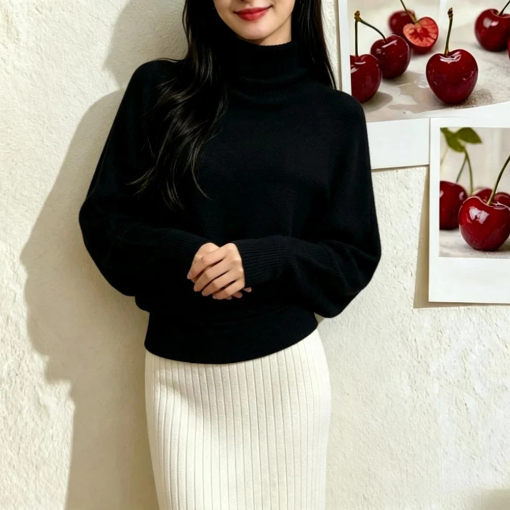 For Spring Summer Autumn Winter Regular Length Pullover Women Half High Neck Pullover Female Pullover Knit Top