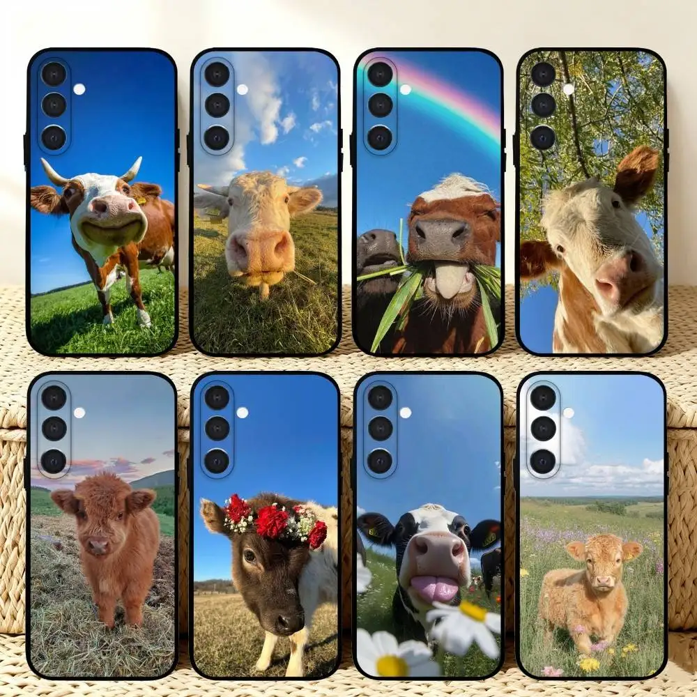 C-Cute-Funny-Highla…