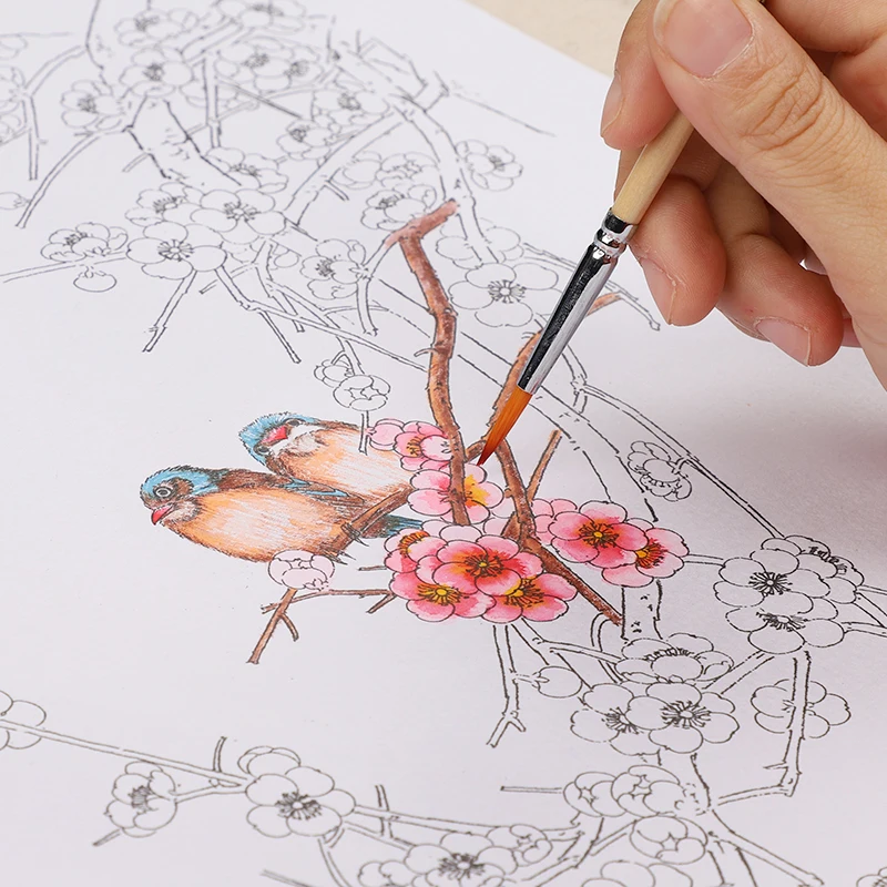 

Watercolor Line Draft Line Drawing Coloring Book Meticulous Painting Manuscript Beginner Graffiti Plant Flower Anime Characters