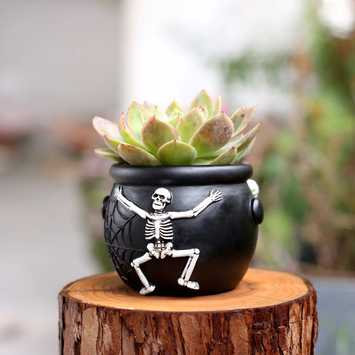 1pc Halloween Skeleton Cauldron Resin Succulent Planter Pot Spider Web Gothic Outdoor Garden Home Desktop Decor