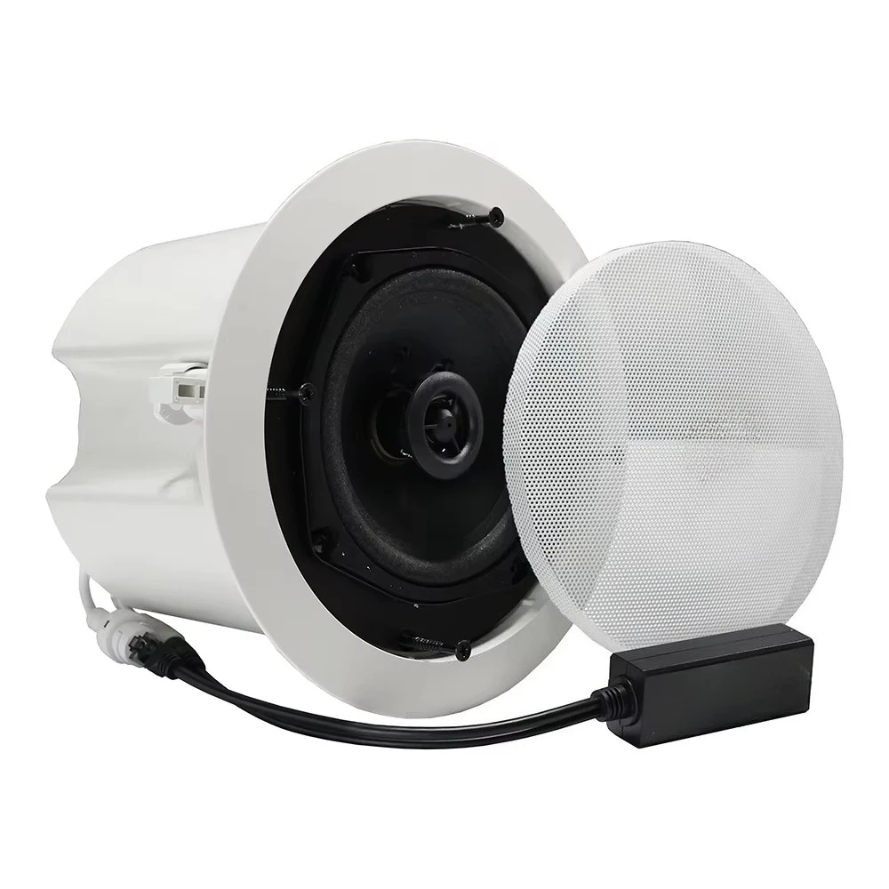 In Ceiling Speaker System 6inch 8inch 10inch 100W IPX-5 Waterproof Public Broadcast PA Home Theater System DTS/ 2.0 Channel