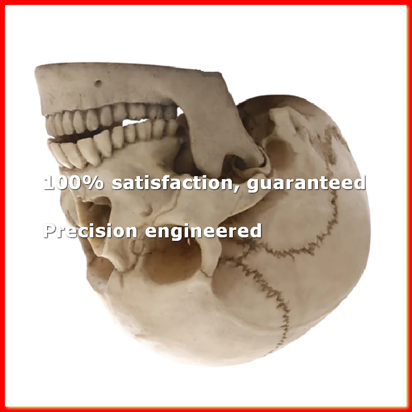 ●Human Head Skull Statue for Home Decor Resin Figurines Halloween Decor Sculpture Medical Teaching Sketch Model Crafts-ABFB