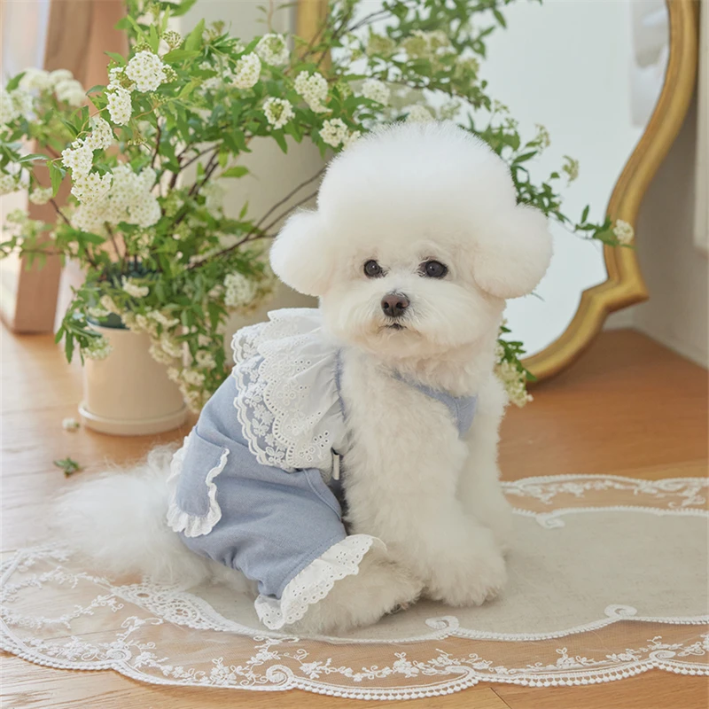 

Dog Clothes Blue Lace Ruffle Onesie Pocket Dog Bow Dog Clothes for Small Dogs Cat Clothes Pet Clothes