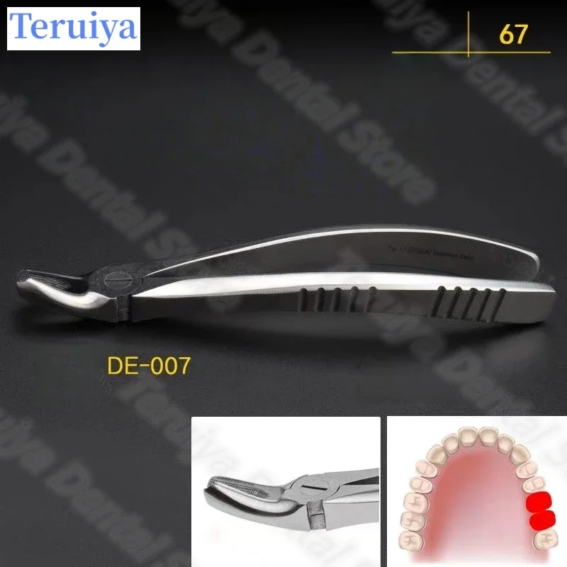 

Premium English-Style Dental Extraction Forceps Set | Multi-Use for Wisdom Tooth & Anterior/Posterior Tooth Removal
