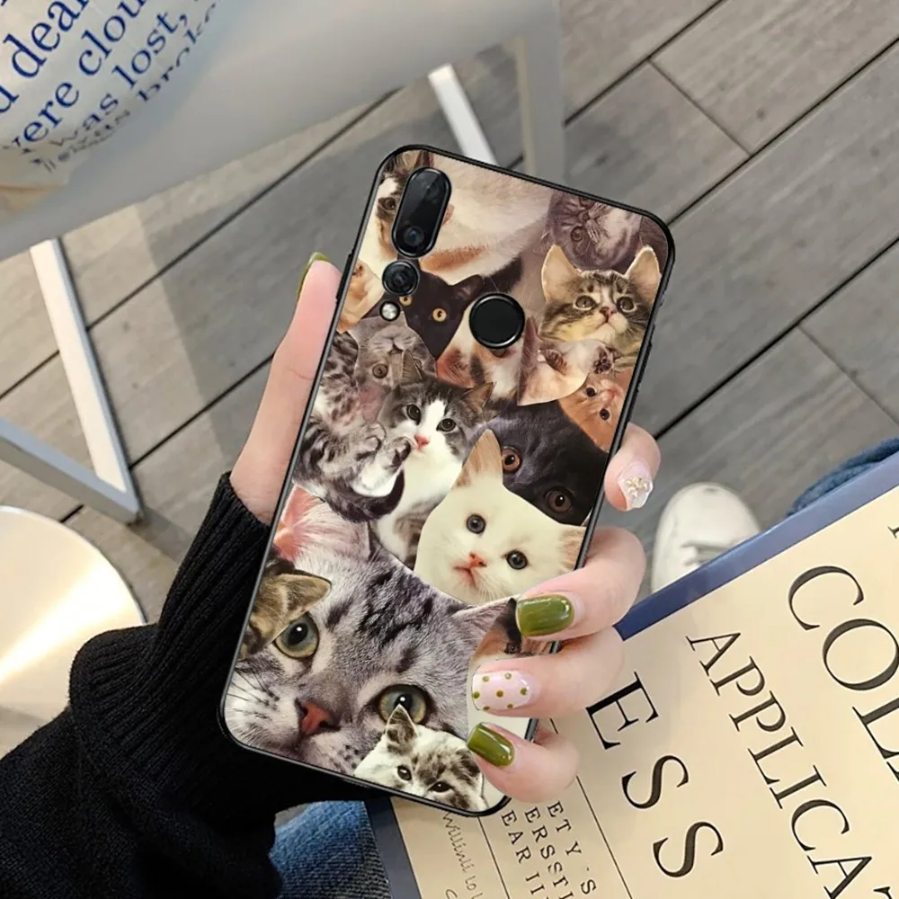 Crying Cat Memes Phone Case For Huawei Y9 6 7 5 Prime Enjoy 7s 7 8 plus 7a 9e 9plus 8E Lite Psmart Shell