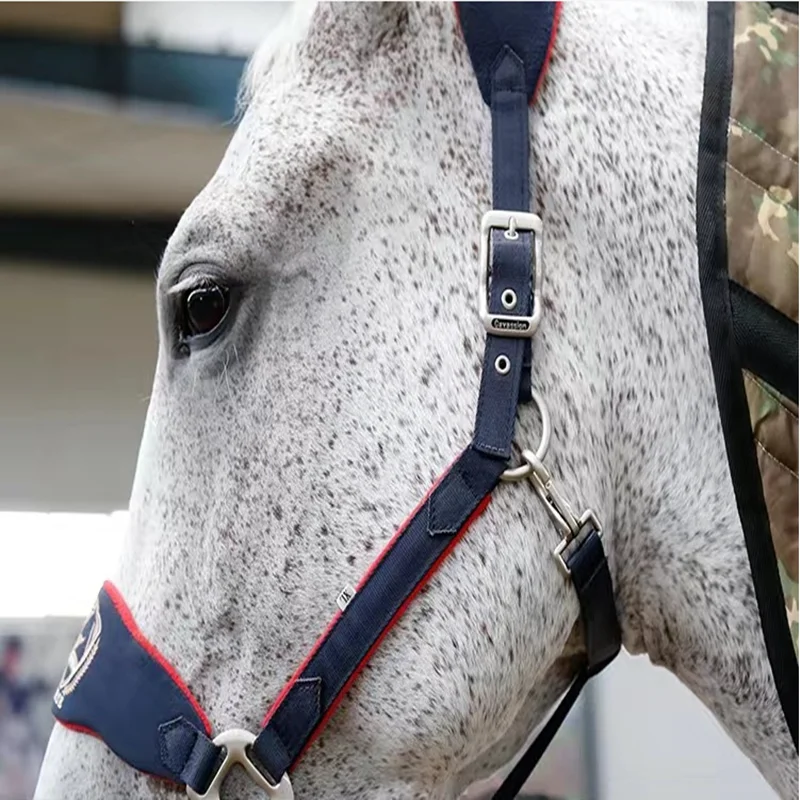 Halter chumbo Halter Halter, velo forrado, cavalo suprimentos