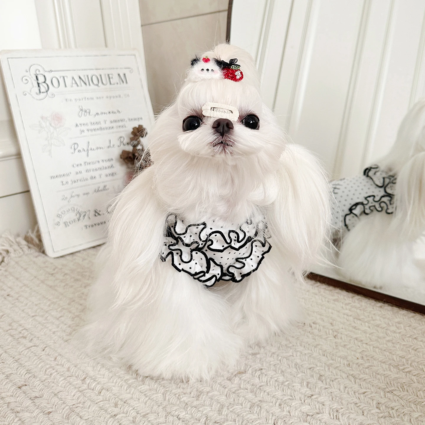 Spring Autumn Pet Dog Clothes Vest Hoodie Fashion Cute Dot Panda Print Cotton Hoodies For Small Medium Dog Poodle Puppy Clothing