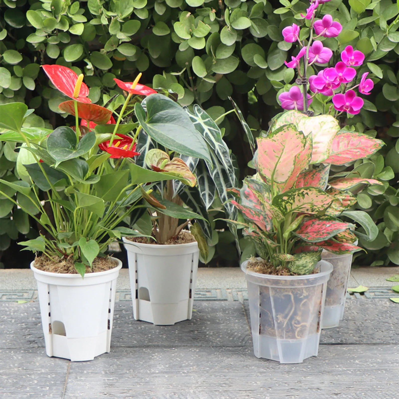 

5pcs Round Planter Pot Orchid Nursery Container Planter Container Clear Orchid Container Round Pots Root Control Plant Pot