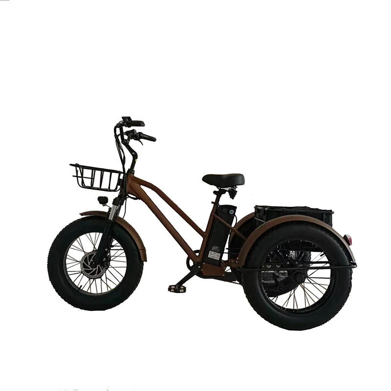 AliExpress ZHUOHE Hot Selling 500W 48v Adult Electric Tricycle Bike with Rear Hub Motor 3 Wheels Cargo Electric Bike for Delivery Fat Tyre