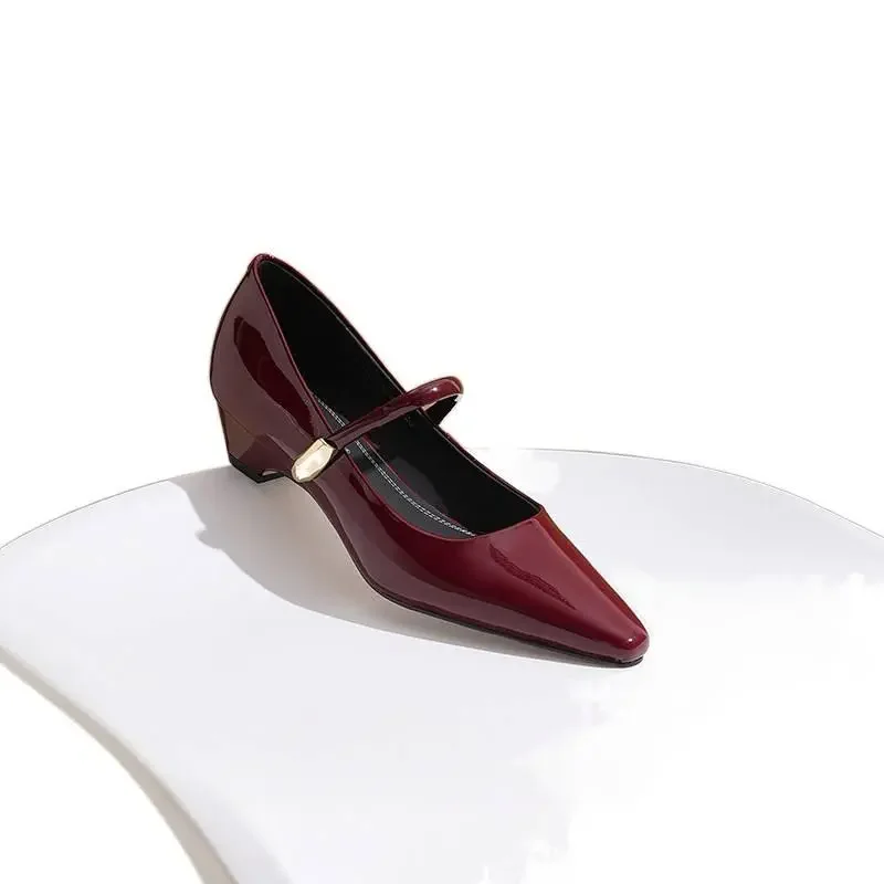 

Women’s Pointed Toe Mary Jane Pumps, Chunky Heel Ankle Strap Low-Cut Shoes, Versatile Elegant Commute & Date Work Shoes