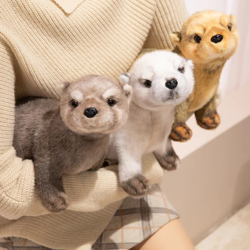 ตุ๊กตาหมีน้ำ 3 สี ขนาด 38 ซม. ของเล่นตุ๊กตาสัตว์การ์ตูนนุ่มนิ่ม หมอนตุ๊กตาหมีน้ำยุโรป-เอเชีย