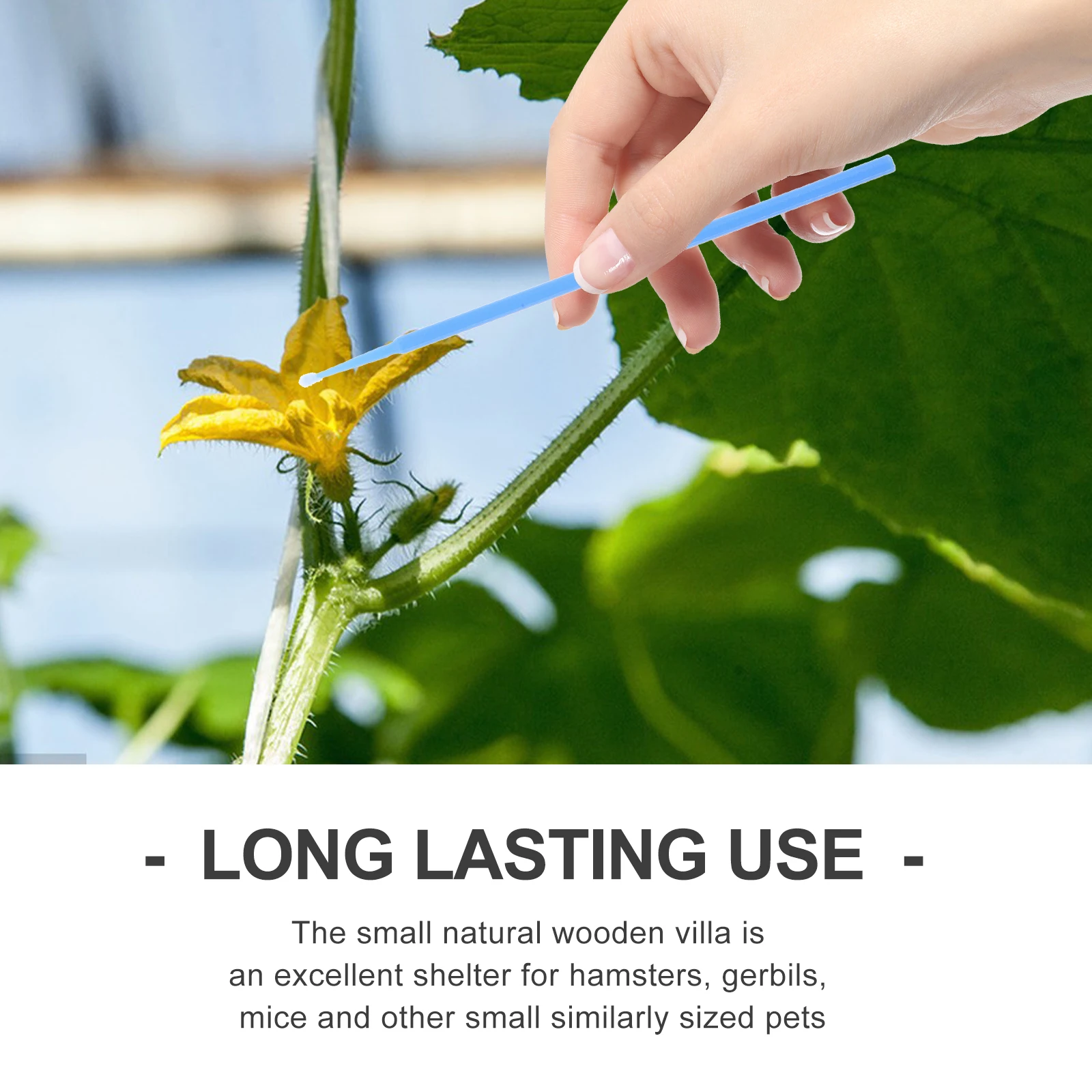 

20 Pcs Pollinator Tool Soft Wool Tip Artificial Chalk Vegetable Fruit Flower Pollination Hand Tools Gardening Accessories Tomato