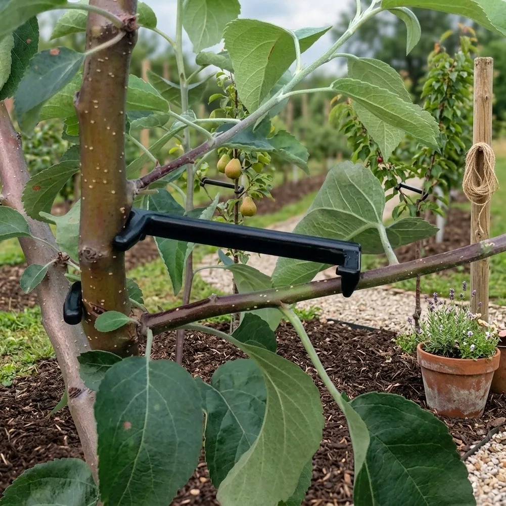10 Count Adjustable Branch Support Devices for Peach Trees and Similar Fruit Trees to Aid in Proper Growth and Harvest Readiness