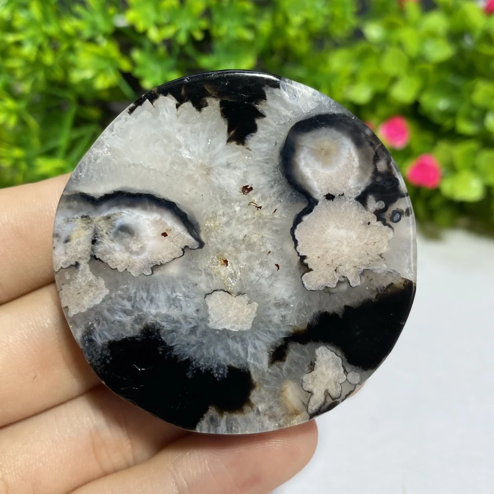 Tranche circulaire d'agate noire naturelle, pierre de guérison Reiki polie, spécimen minéral, décoration de salle de maison, cadeau