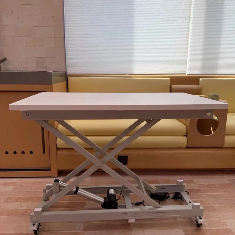 Electric Lift Table Remote Control Foldable Heavy Duty for Home Workbench
