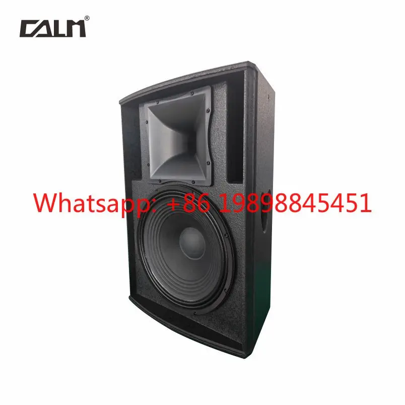 or Professional Mobile DJ and Event Audio Sound Production 15-Inch Active Powered DSP Speaker 450W f