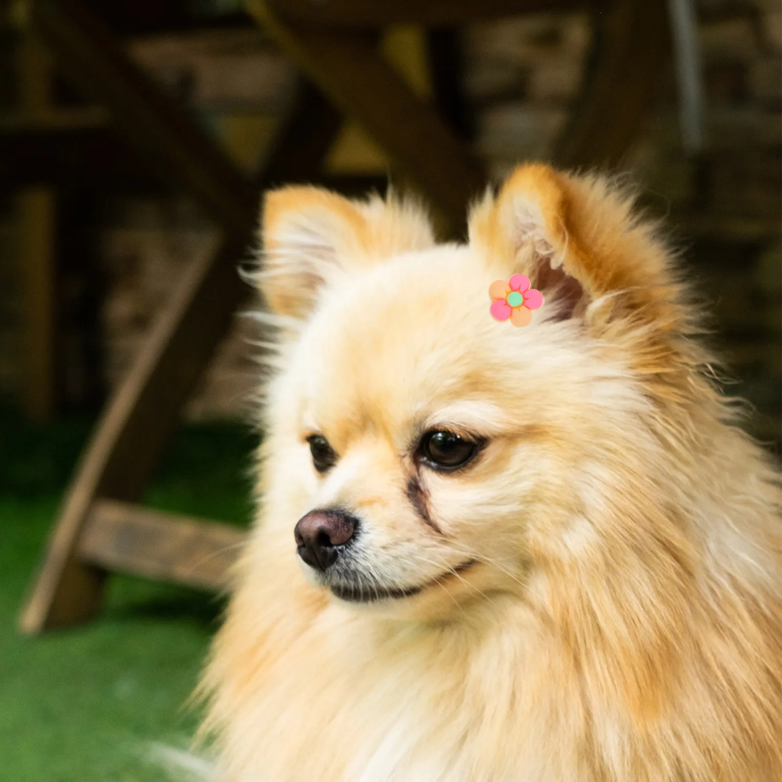 

10pcs Pet Accessories Dog Grooming Ties Elastic Ponytail Holders For Long Haired Dogs Puppy Bands Cartoon Animal Hair Ties Pet