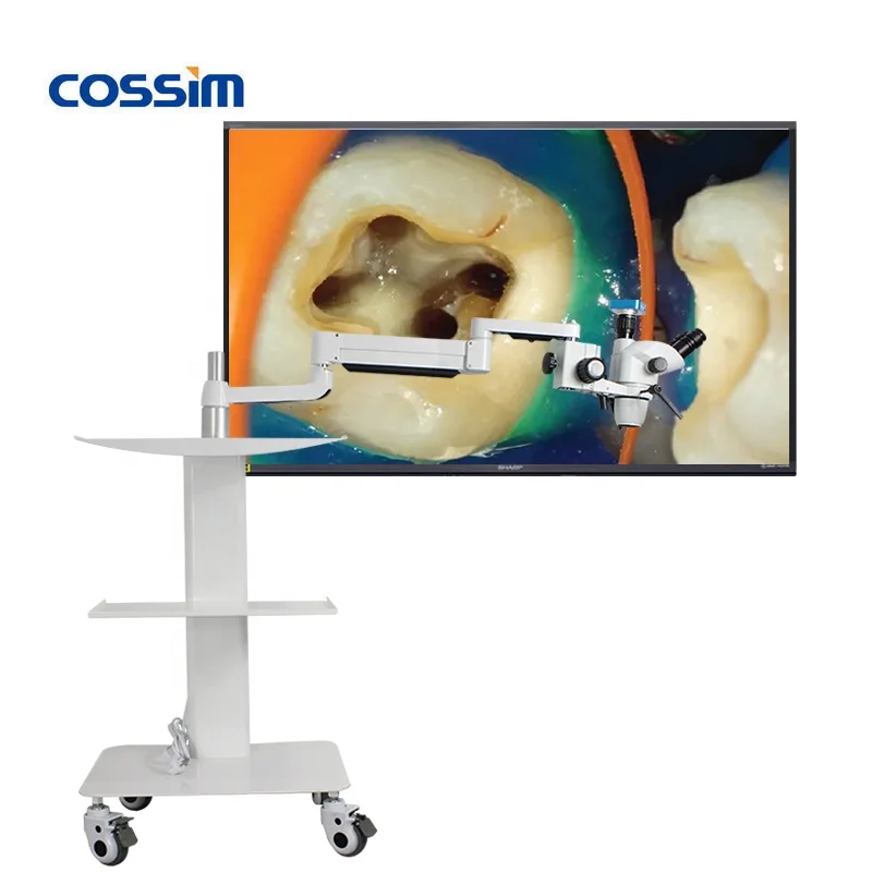 1.95X~55X Dental Operating Microscope Zumax Surgical Microscope Dental Stereo Microscope Prices with Camera
