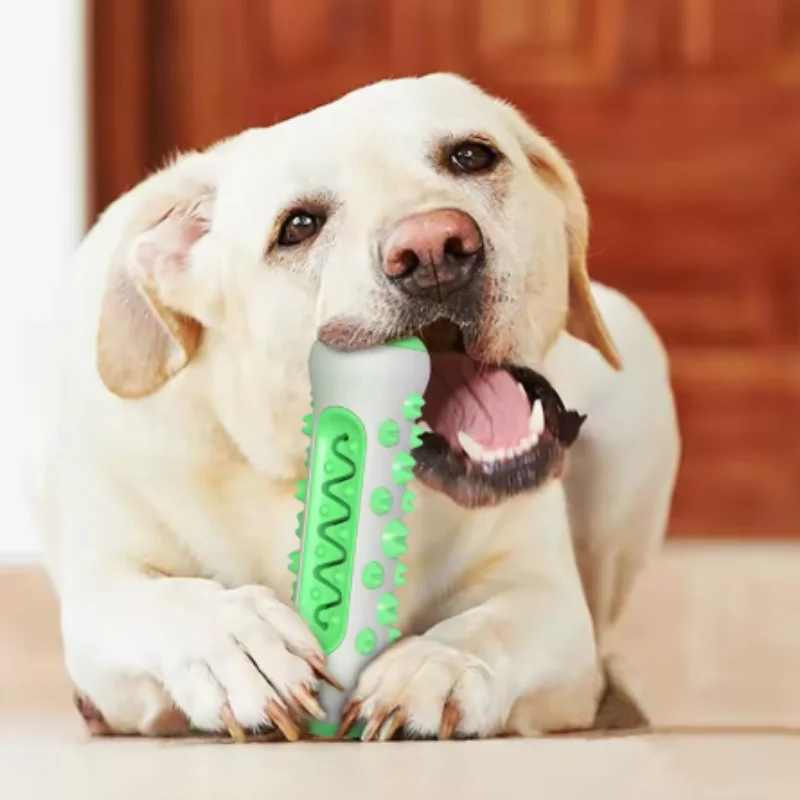 Safe Puppy Dental Care Dog Mol - Pet Supplies Direct 评论和价格