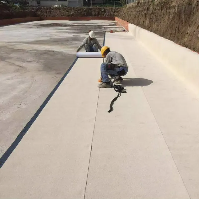 Customized HDPE Geomembrane Liner for Fish Pond Reservoir Landfill Mining and Waterproof Engineering Projects Use