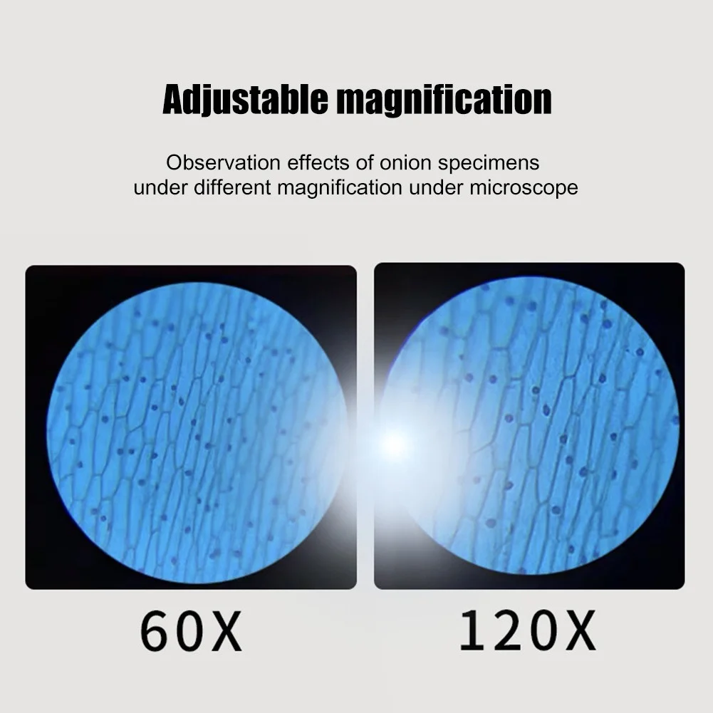 Kit de microscopio biológico con luz LED, Mini microscopio portátil con batería, microscopio de mano de laboratorio para niños al aire libre