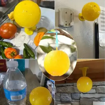 8 best sales מלכודת דביקה של חרקים - №2