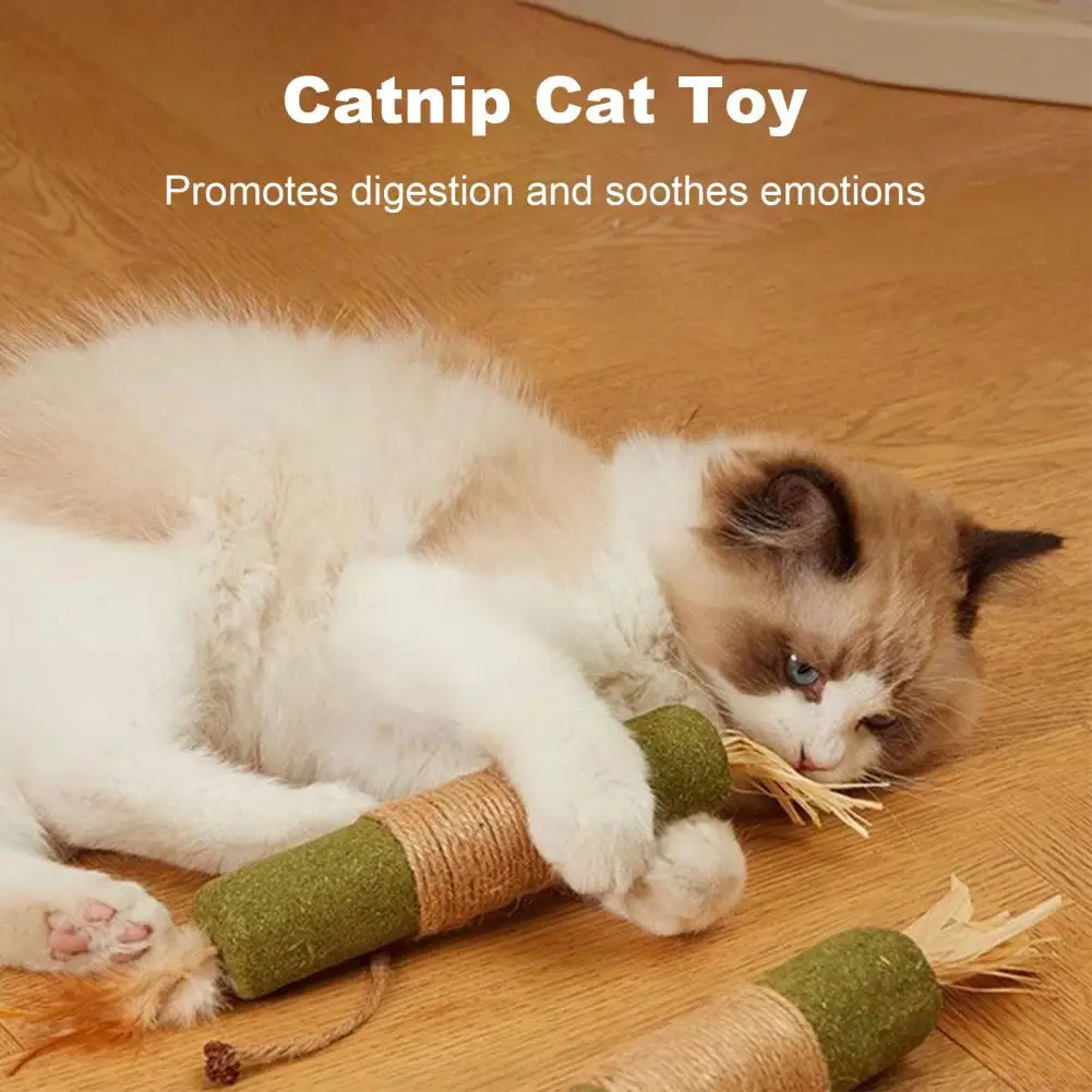 

Catnip Silvervine Chew Sticks Natural Catnip Cat Toy Promote Digestion Soothe Mood Teeth Cleaning Cat Dental Health Chew Toy