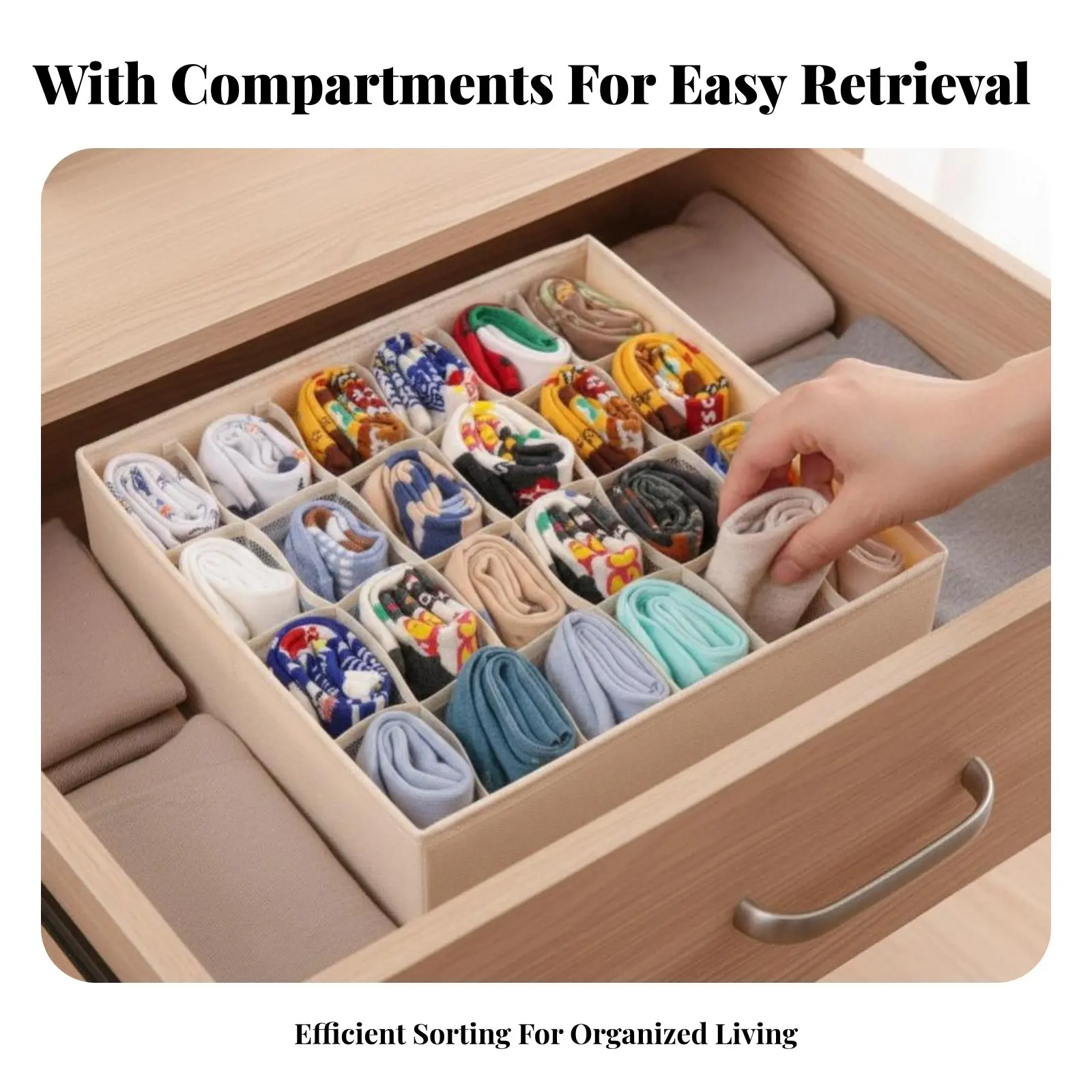 

3 Pieces Underwear Compartment Organizer Space-Saving Multicompartment Storage Container Cleanable Transparent Mesh for Adults