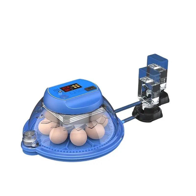 

ABKU-Intelligent Small-Sized 8-Piece Automatic Temperature Control Incubator For Incubating Chickens Poultry Hatchery EU Plug
