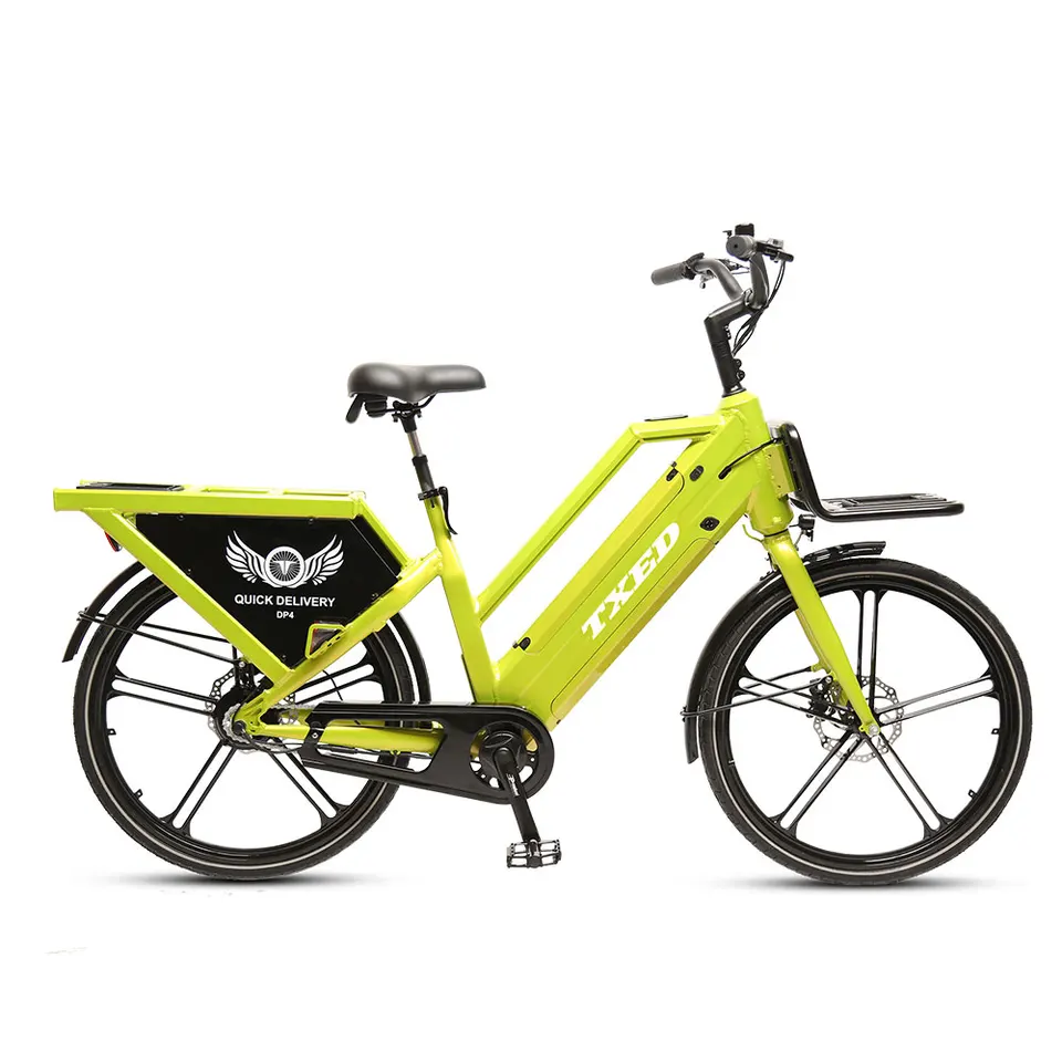 Unique 2 Battery Electric Cargo Bike Single Speed Ebike Delivery Cargo on Sale image 2