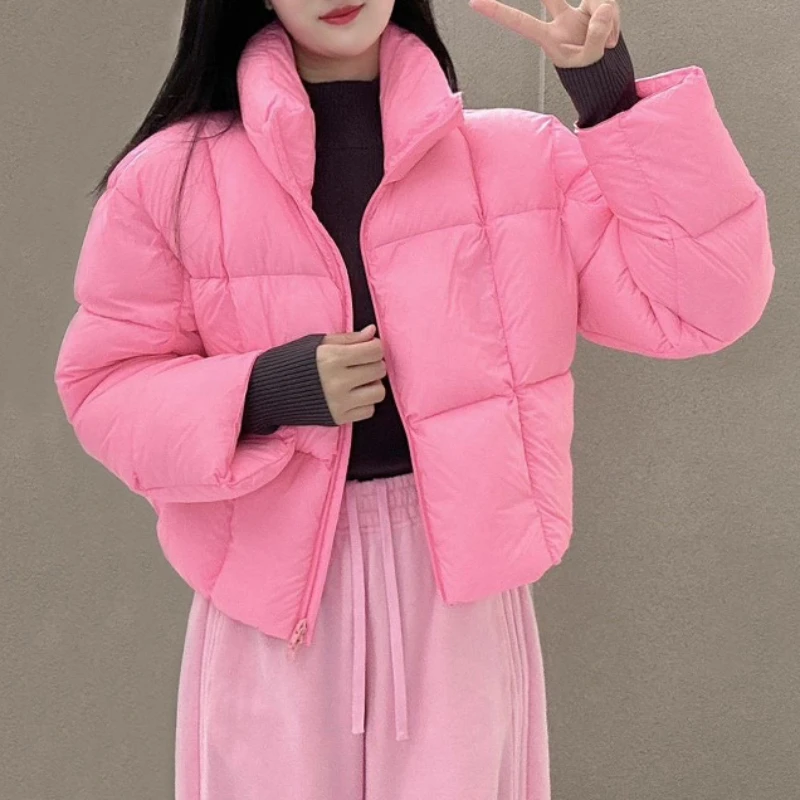 Lightweight Padded Down Coats for Women, Fluffy Warm Coat, Korean Popular Clothes, Fashionable Outerwear, 2021 Spring and Winter